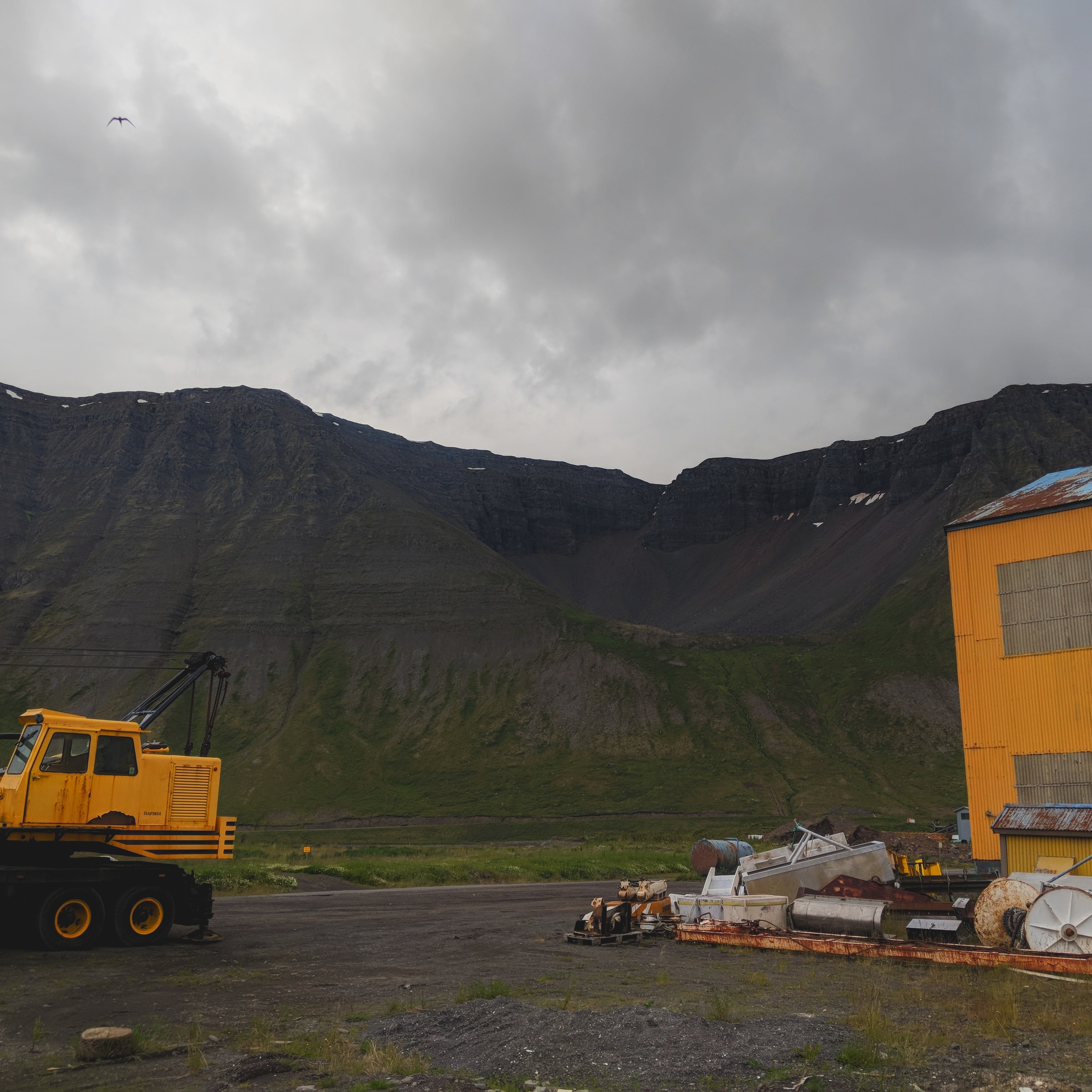 formality vs reality cover