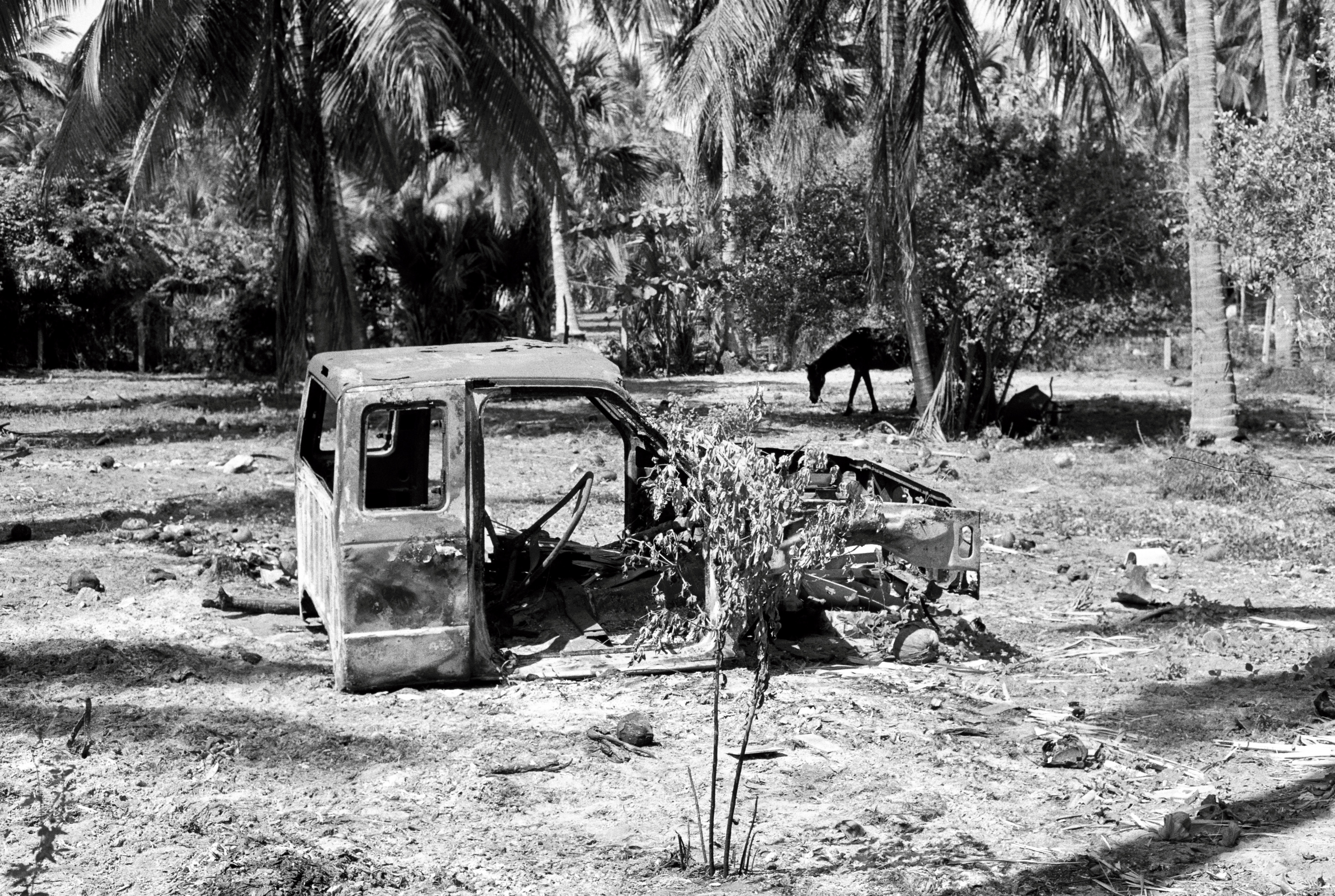 Photography print by Noah Jordan