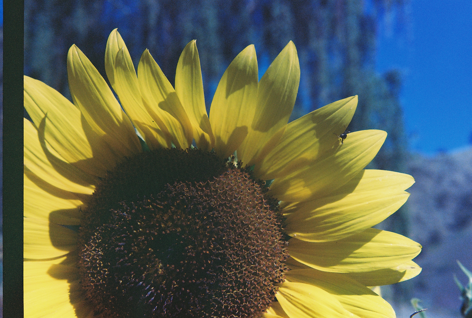 Photography print by Noah Jordan