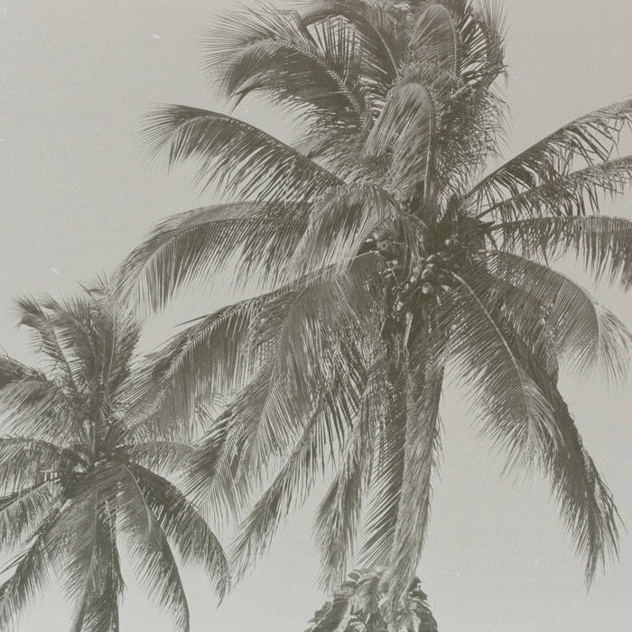 Gracias a Dios (2023) – solo 23-limit jarana explorations sonic&nbsp;density