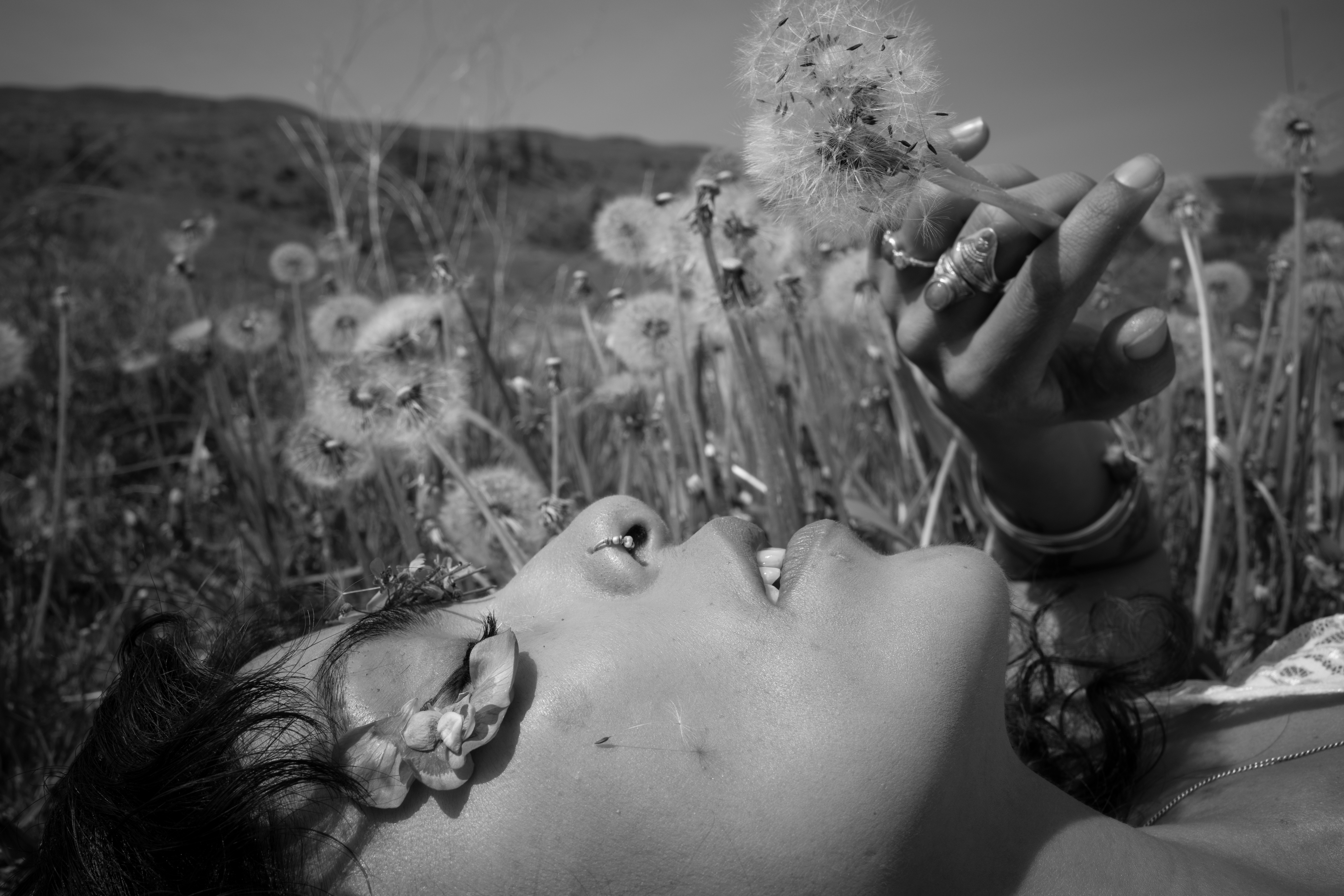 Photography print by Noah Jordan