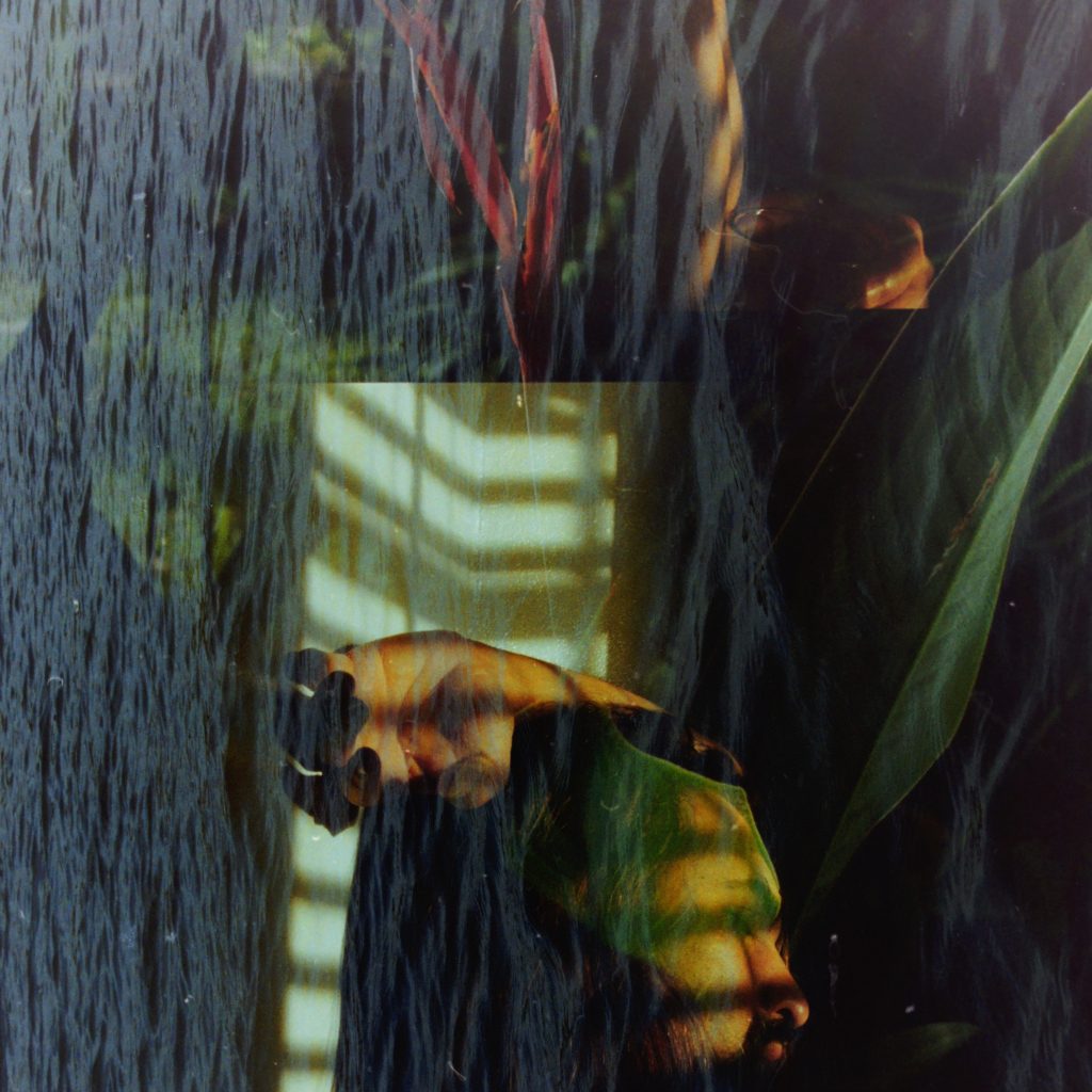 花一輪の心 The Heart of a Single Flower (2025) – Dialogue with Ikkyū Sōjun&nbsp;一休宗純